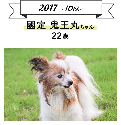 歴代グランプリ 犬の部 ご長寿ペット フォトコンテスト21 第14回