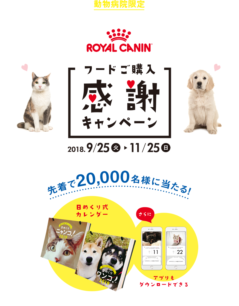 ROYAL CANIN フードご購入感謝キャンペーン 2018.9.25 ～ 2018.11.25 先着20,000名様に当たる！日めくり式カレンダー
